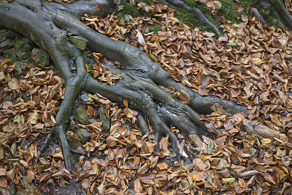 4711 KA7_3567-1 Kopie-1 Kopie.jpg